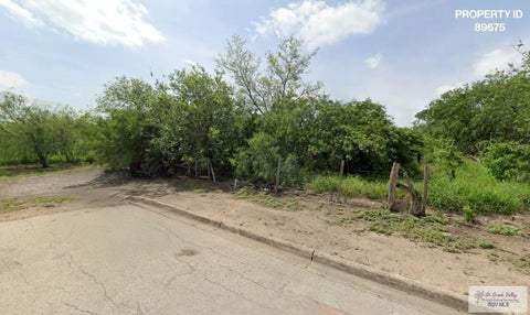 Vacant Land For Sale - 000 5th Ave<br/> LOS INDIOS, TX 78567