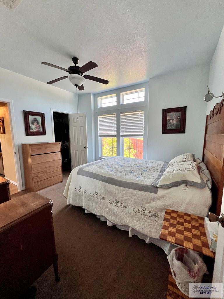 1219 N Palmera Dr, LA FERIA, Texas image 16