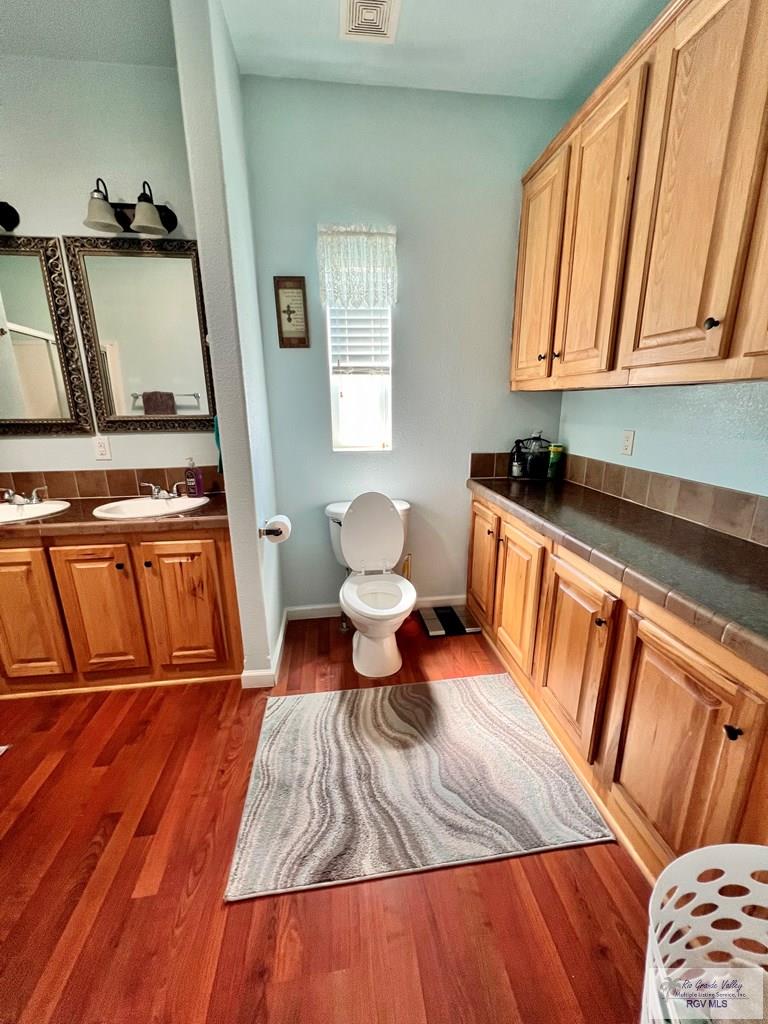 1219 N Palmera Dr, LA FERIA, Texas image 12