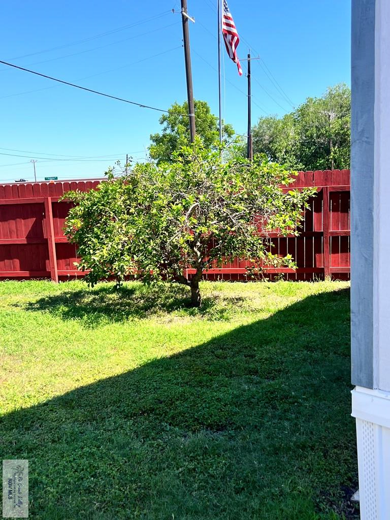 1219 N Palmera Dr, LA FERIA, Texas image 28