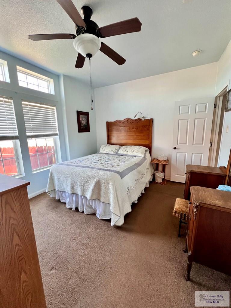 1219 N Palmera Dr, LA FERIA, Texas image 17
