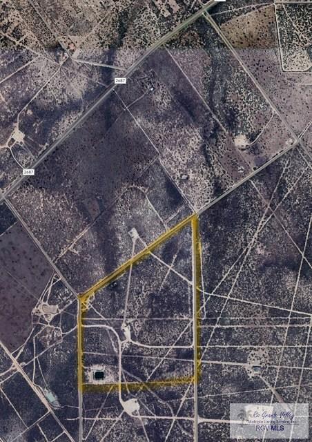 126 AC Fm 2687, ZAPATA, Texas image 2
