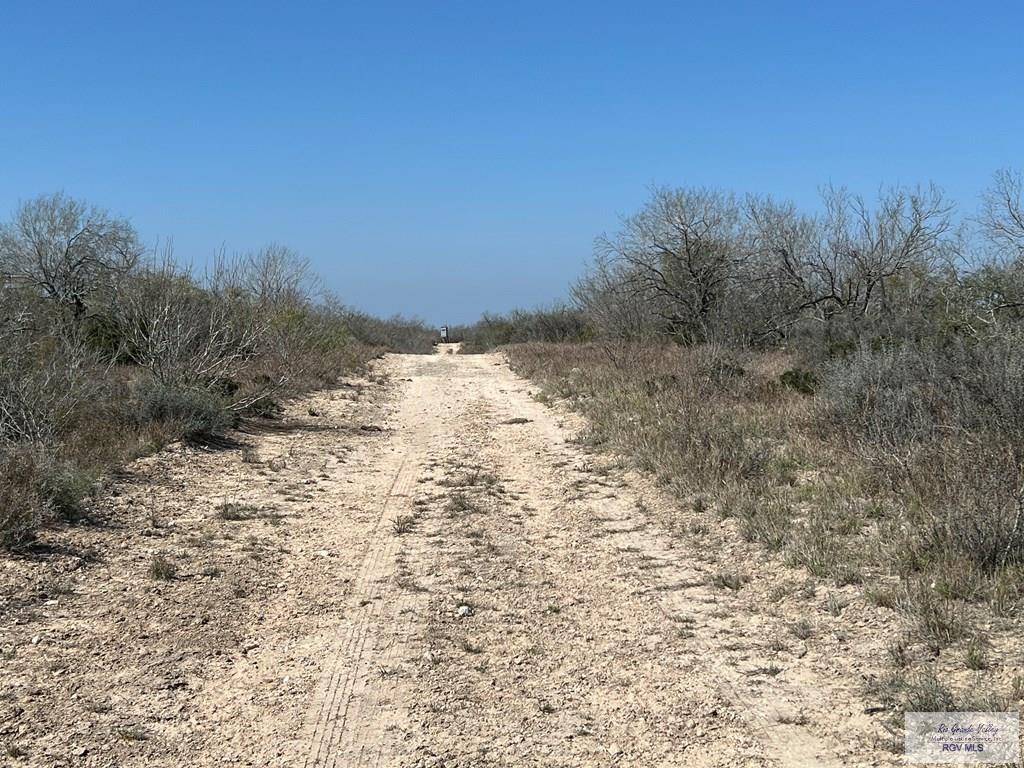 126 AC Fm 2687, ZAPATA, Texas image 4