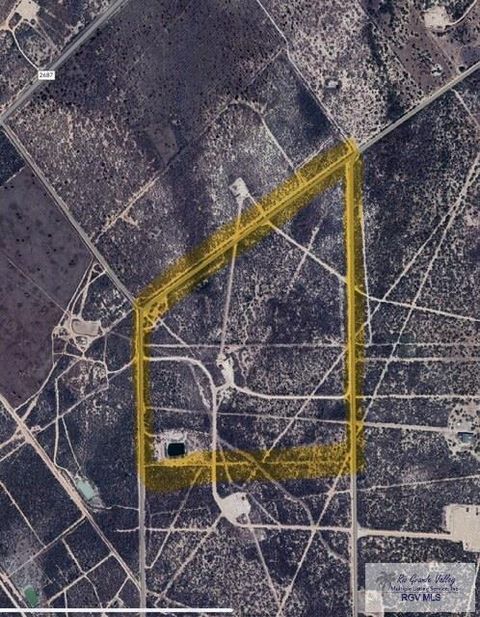Vacant Land For Sale - 126 AC Fm 2687<br/> Zapata County, ZAPATA, TX 78076