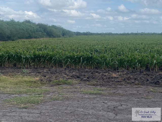 N/a Ruben Torres Blvd, BROWNSVILLE, Texas image 4