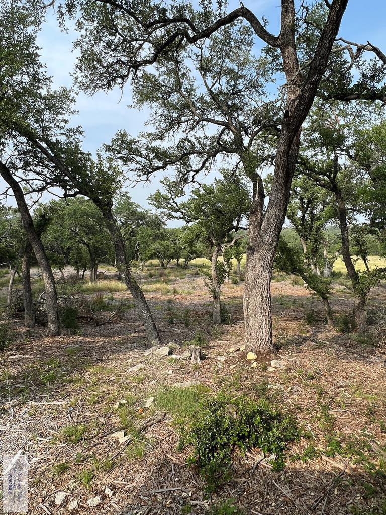 1281 Adyson Ridge Dr, BULVERDE, Texas image 29