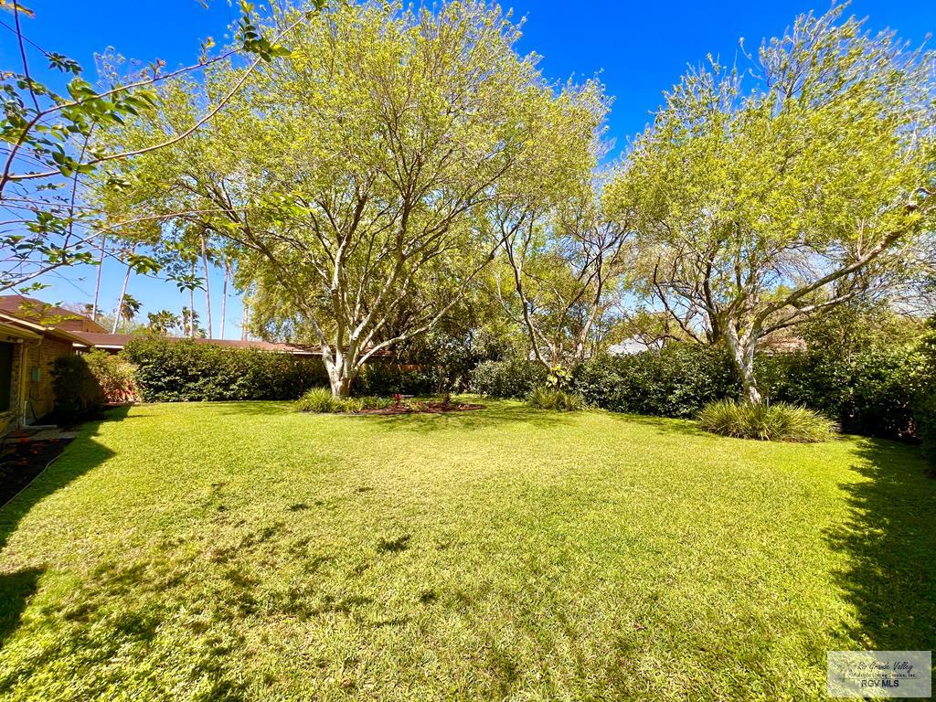 2929 Jacaranda Ave, HARLINGEN, Texas image 35