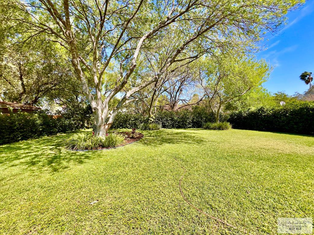 2929 Jacaranda Ave, HARLINGEN, Texas image 36