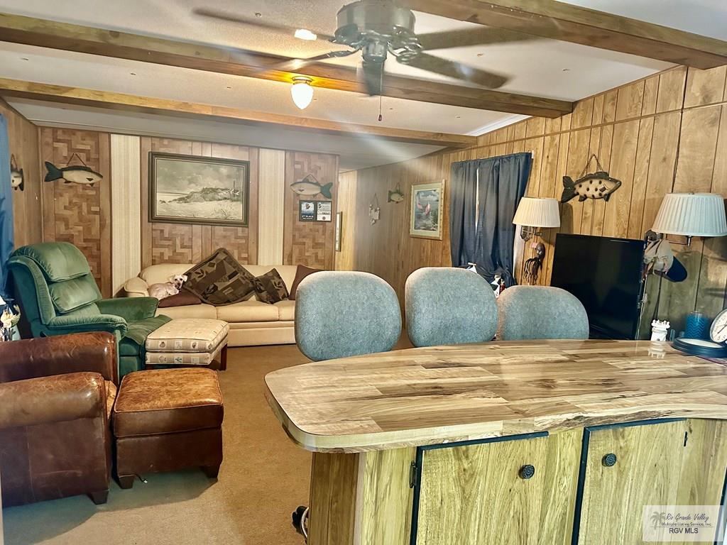 15208 Atascosa Dr, RIO HONDO, Texas image 21