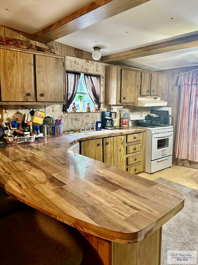 15208 Atascosa Dr, RIO HONDO, Texas image 24