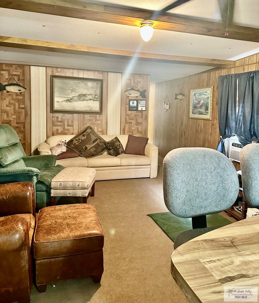 15208 Atascosa Dr, RIO HONDO, Texas image 16