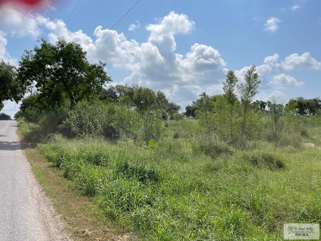 Stanford Rd, LOS FRESNOS, Texas image 6