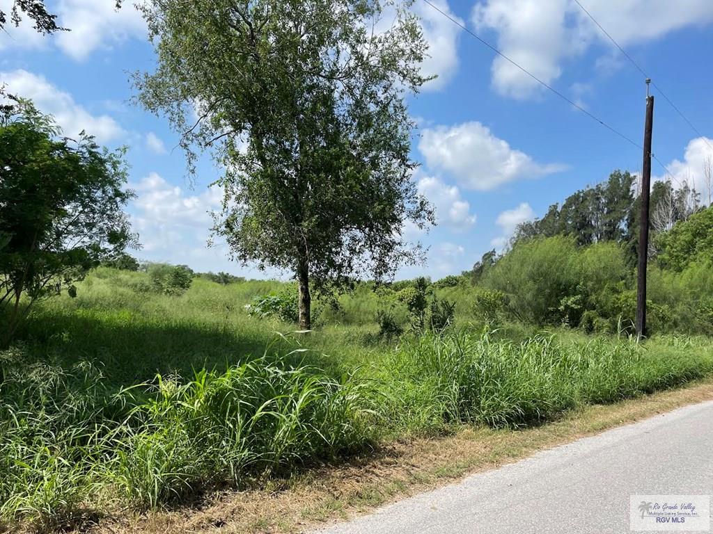 Stanford Rd, LOS FRESNOS, Texas image 10