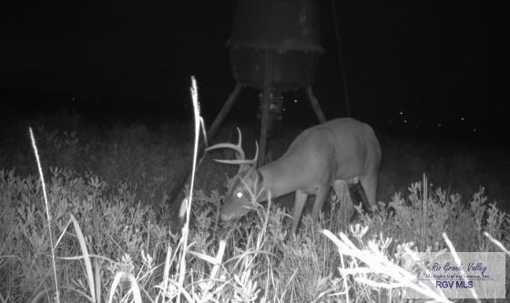 Tract III San Fernando Rd, RIO HONDO, Texas image 8