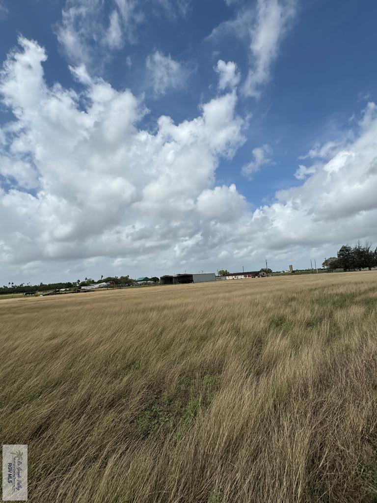 25631 N White Ranch Rd, LA FERIA, Texas image 21