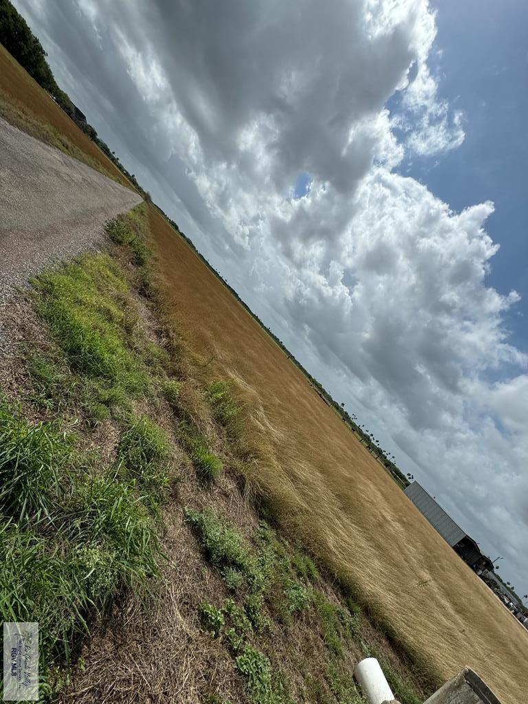25631 N White Ranch Rd, LA FERIA, Texas image 20