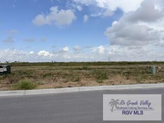 Vacant Land For Sale - 213 Kind Ct #11<br/> SAN BENITO, TX 78586
