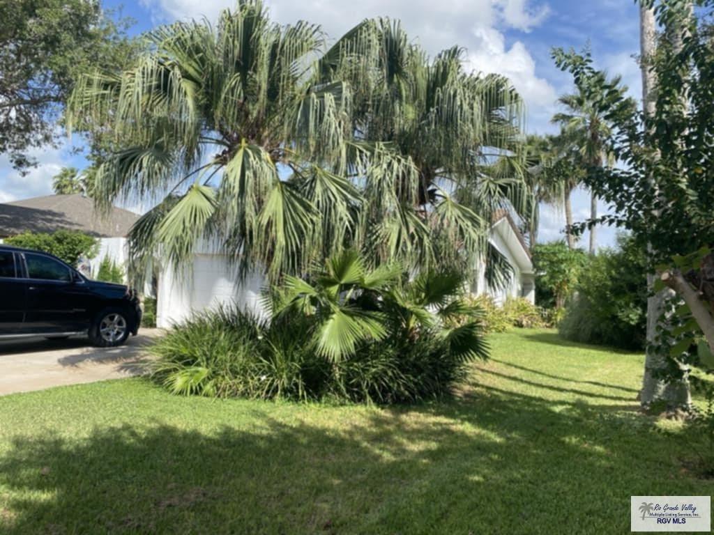 81 Cortez Ave, RANCHO VIEJO, Texas image 11