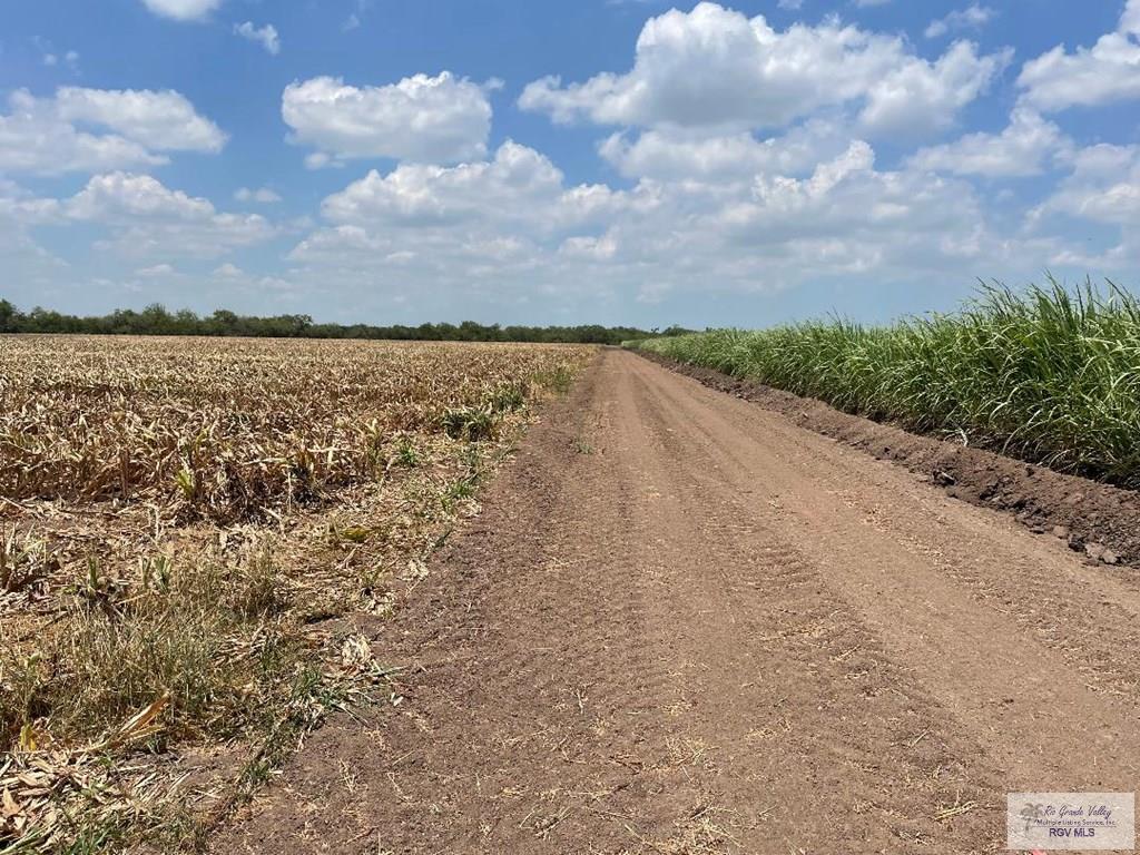 28.3 Acres Vasquez Rd, SAN BENITO, Texas image 6