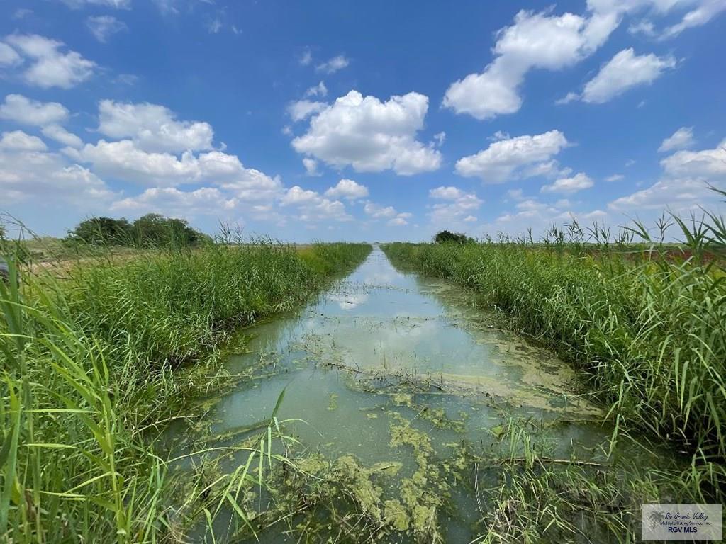 28.3 Acres Vasquez Rd, SAN BENITO, Texas image 11