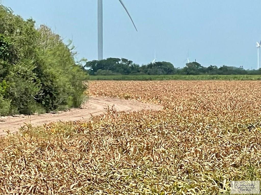 28.3 Acres Vasquez Rd, SAN BENITO, Texas image 8