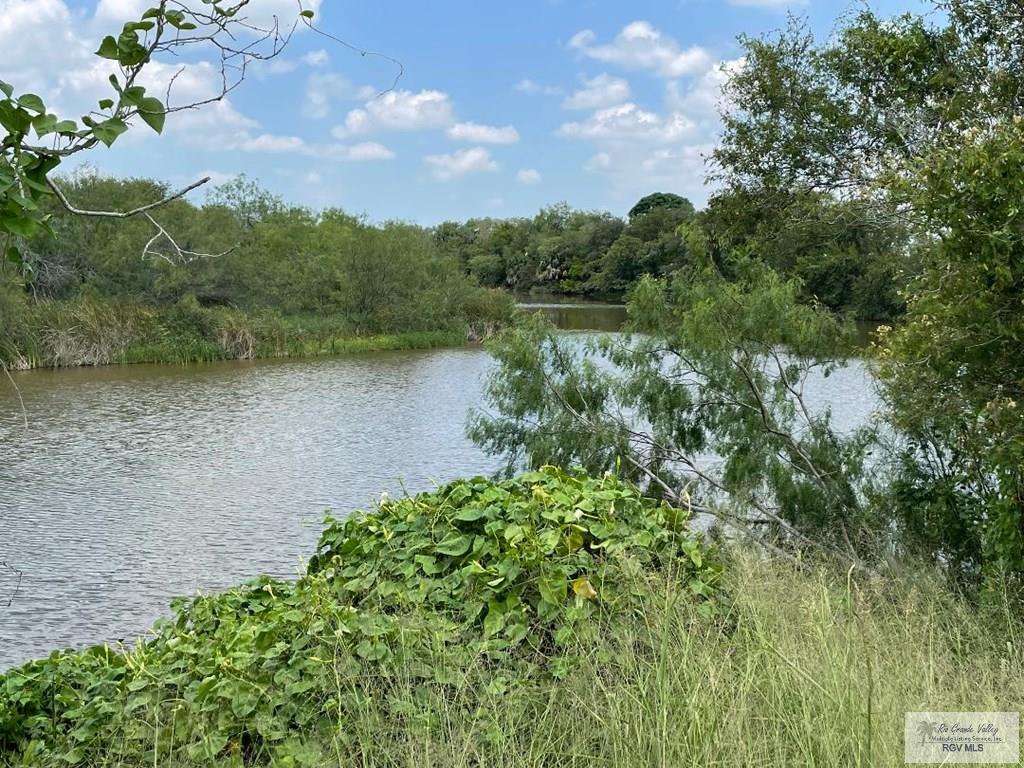 28.3 Acres Vasquez Rd, SAN BENITO, Texas image 3