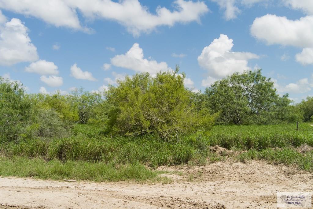 Gavito Ranch Rd, BROWNSVILLE, Texas image 3