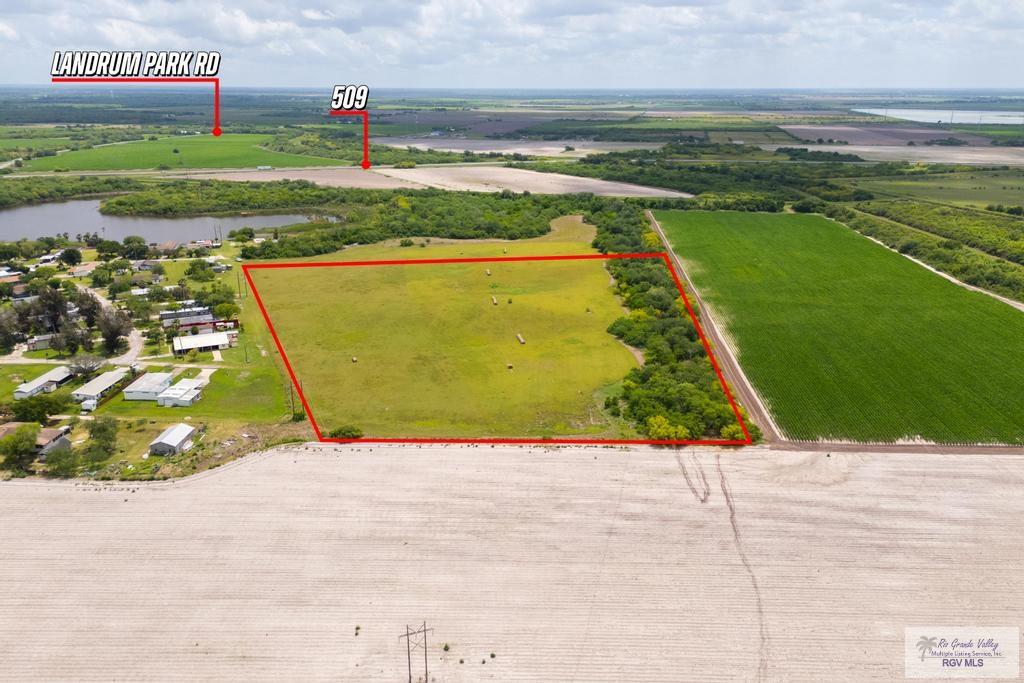 32146 Parmer Dr, SAN BENITO, Texas image 5
