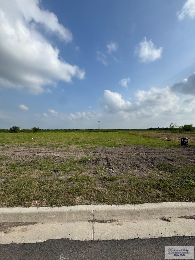 0000 Escondido Ln, HARLINGEN, Texas image 2