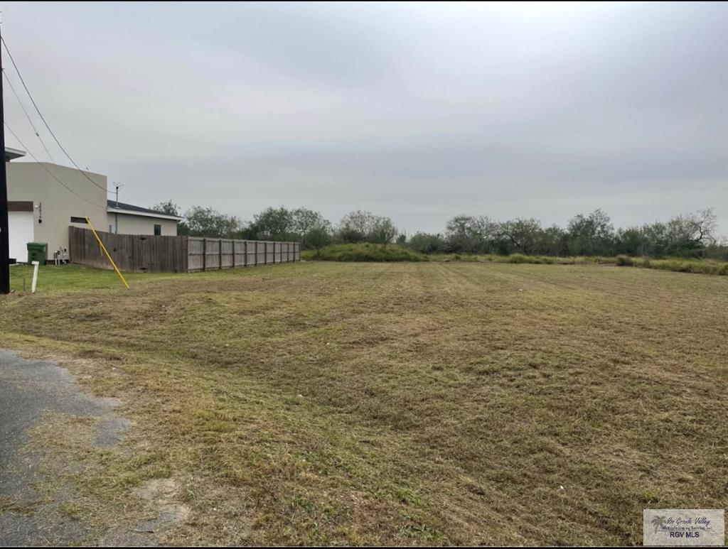 00 Muraya St, LOS FRESNOS, Texas image 2