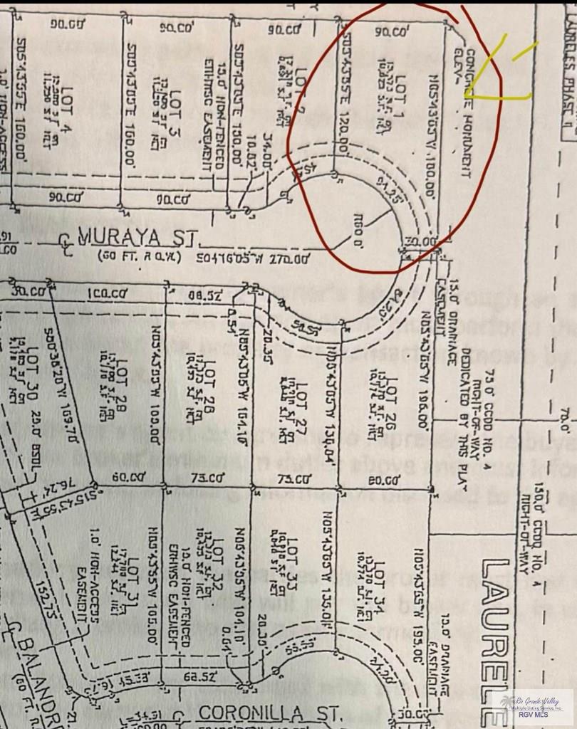 00 Muraya St, LOS FRESNOS, Texas image 5