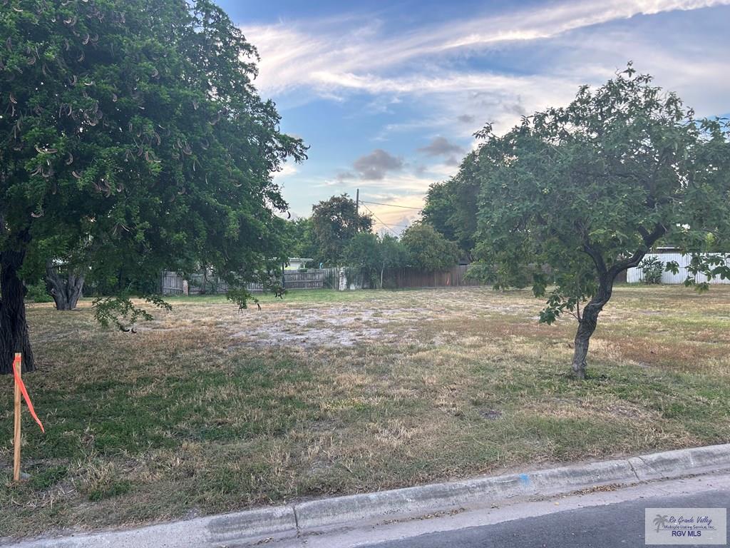 33 El Retiro Cir, BROWNSVILLE, Texas image 3