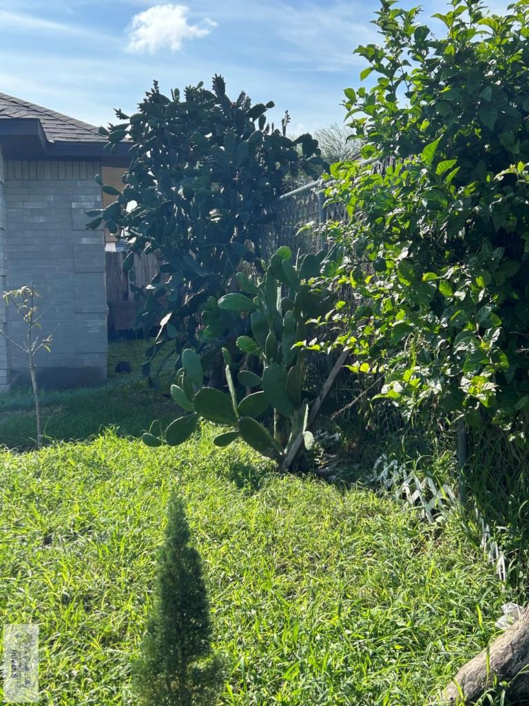 3778 Rey David Dr, BROWNSVILLE, Texas image 16
