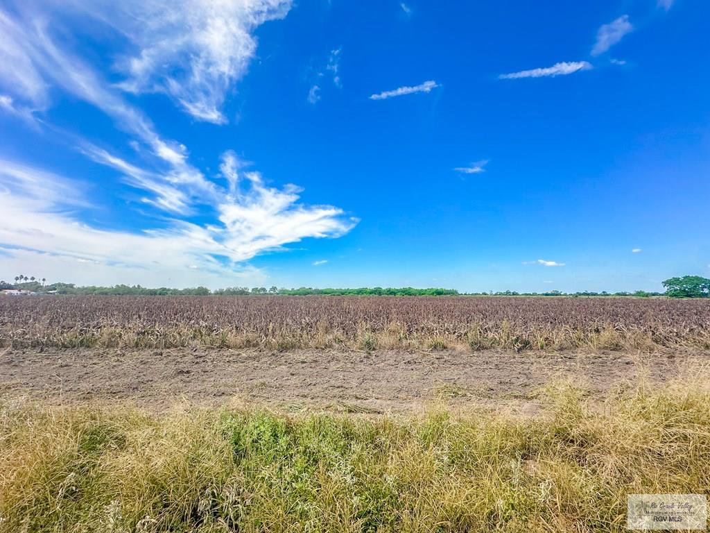 25.88 Acres Humphrey, RAYMONDVILLE, Texas image 2