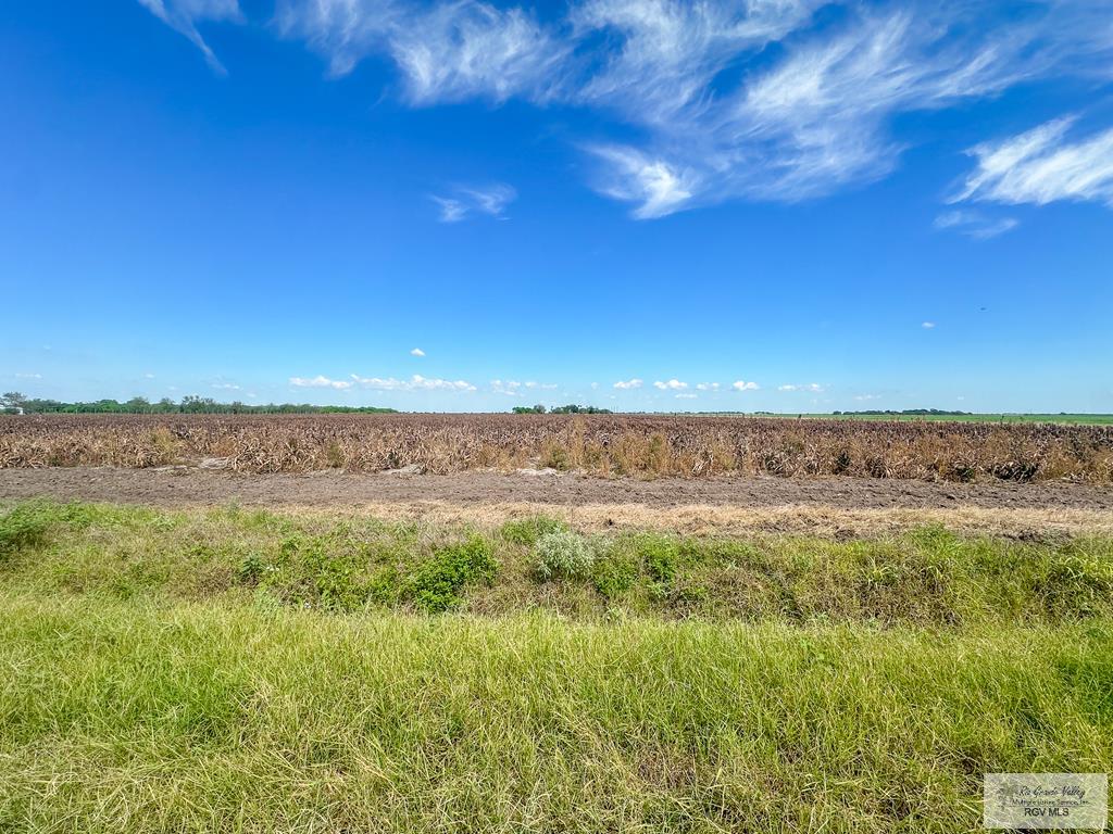 25.88 Acres Humphrey, RAYMONDVILLE, Texas image 3