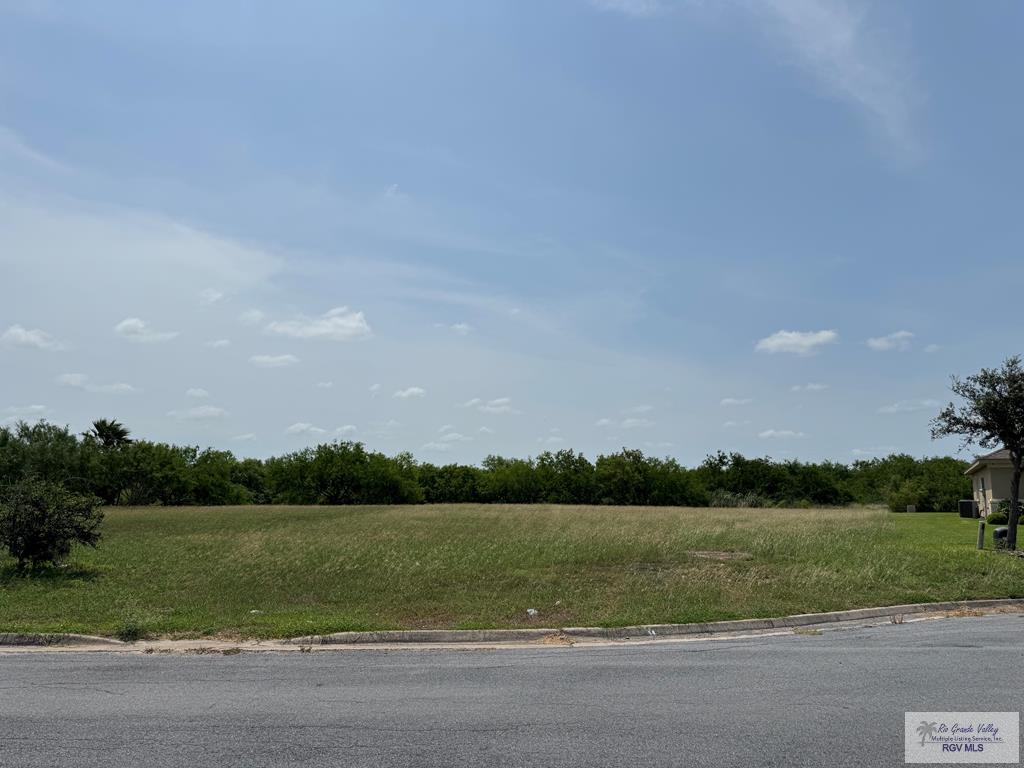 125 Canteros Dr, RANCHO VIEJO, Texas image 1
