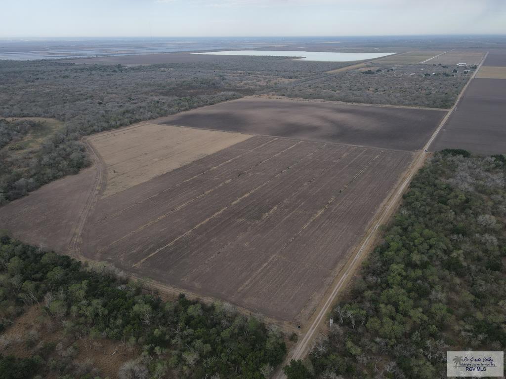 00 Weaver Rd, SAN BENITO, Texas image 9