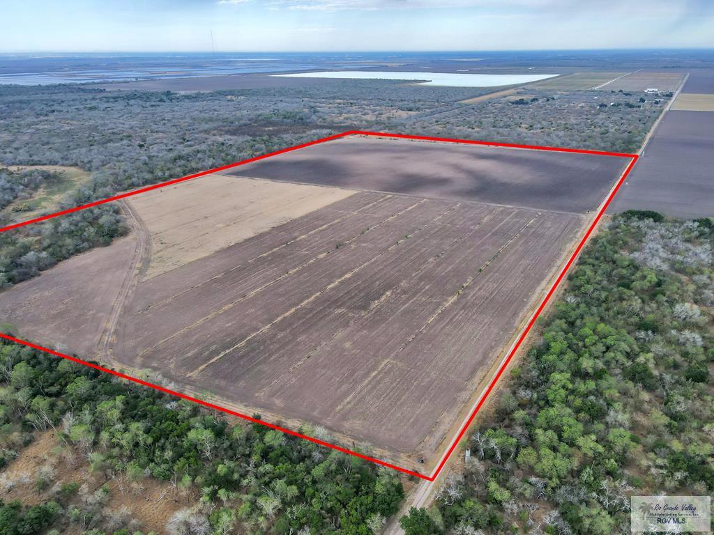 00 Weaver Rd, SAN BENITO, Texas image 3