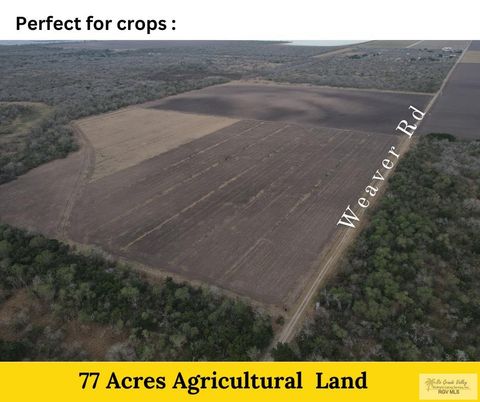 Vacant Land For Sale - 00 Weaver Rd<br/> SAN BENITO, TX 78586
