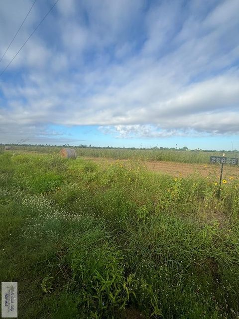 Vacant Land For Sale - 10.029 ACRES Louisiana Rd<br/> LA FERIA, TX 78559