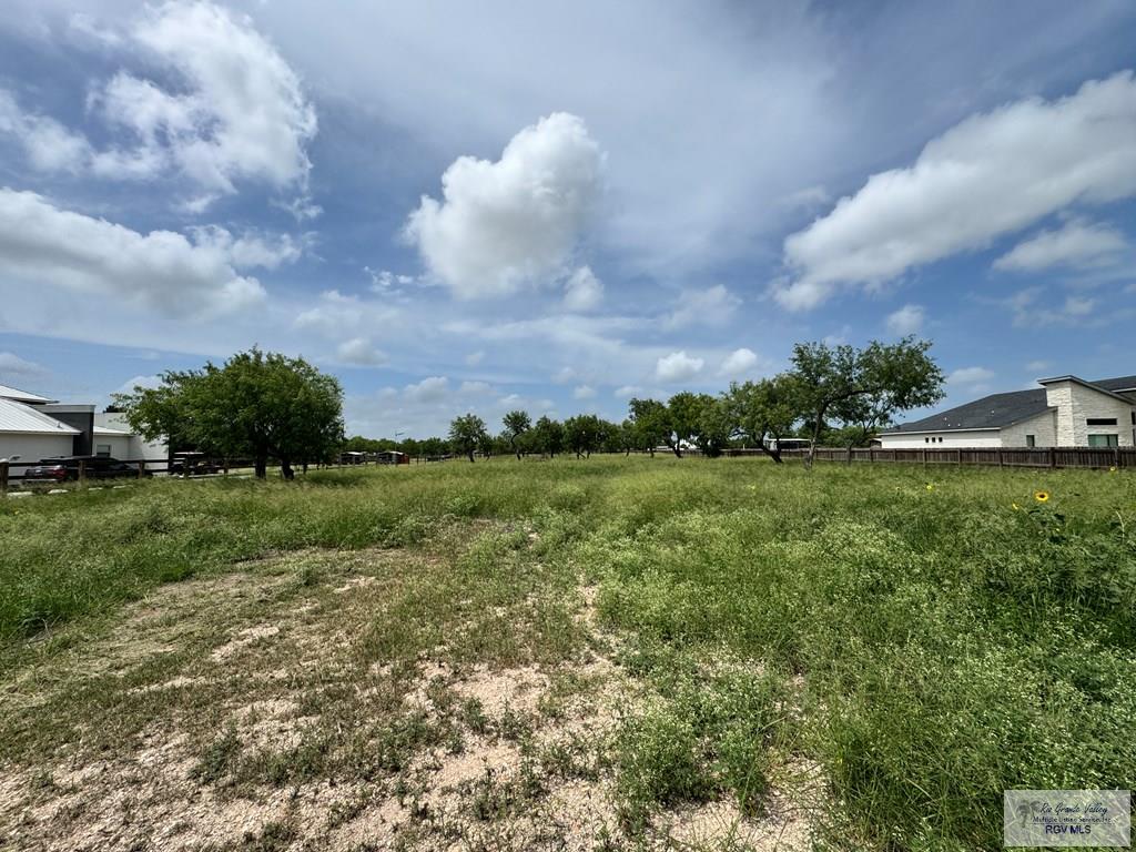 27389 Roberta Rd, SAN BENITO, Texas image 4