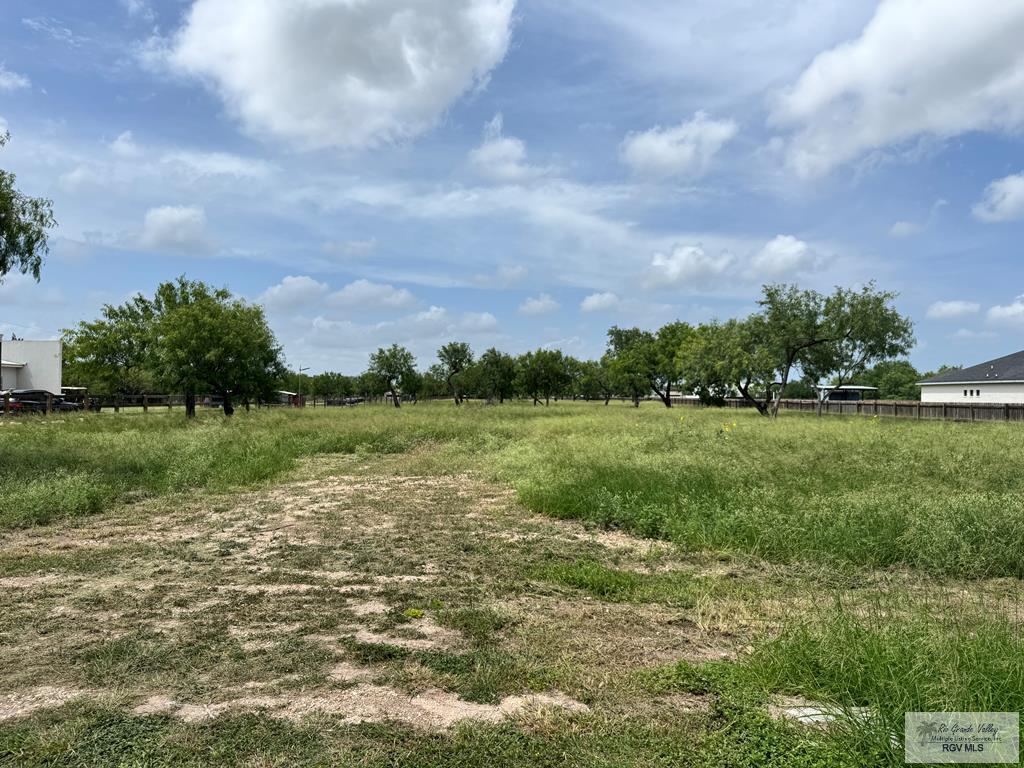 27389 Roberta Rd, SAN BENITO, Texas image 1