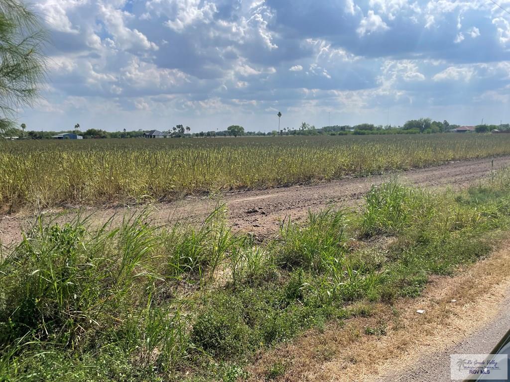 10.59 Acres S Tamm Ln, HARLINGEN, Texas image 7