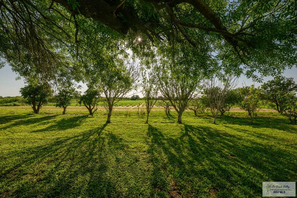 26354 N Kansas City Rd, LA FERIA, Texas image 40