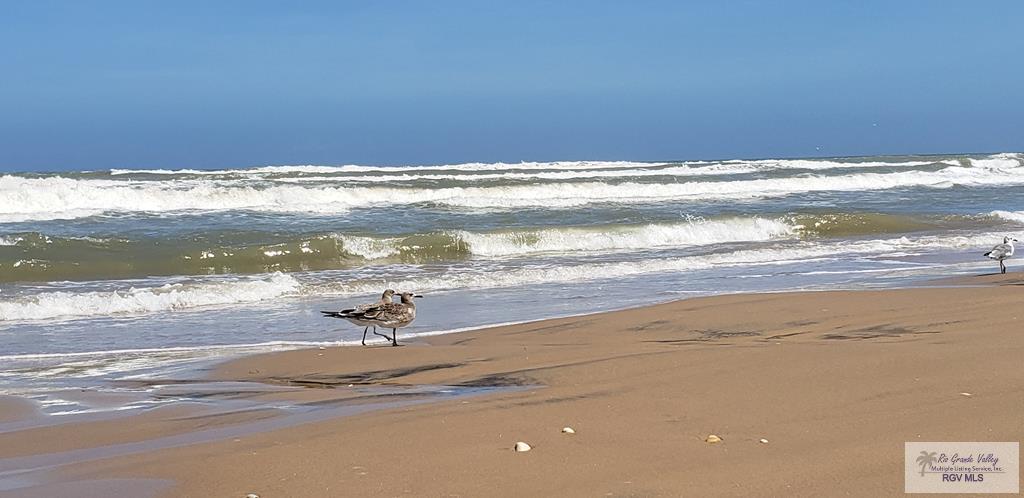 2000 Gulf #801, SOUTH PADRE ISLAND, Texas image 35