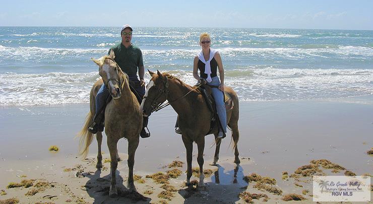 2000 Gulf #801, SOUTH PADRE ISLAND, Texas image 32