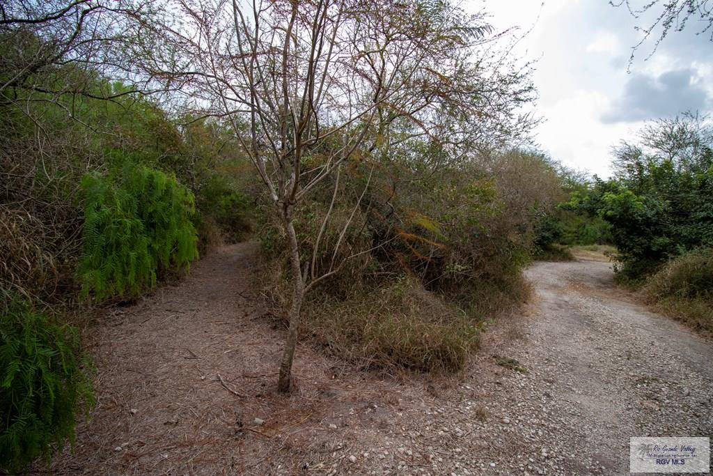 1224 N Illinois Ave, BROWNSVILLE, Texas image 37