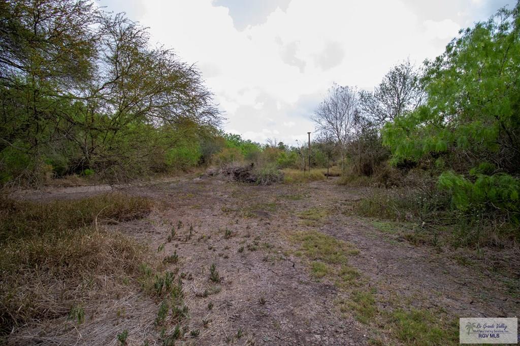 1224 N Illinois Ave, BROWNSVILLE, Texas image 44
