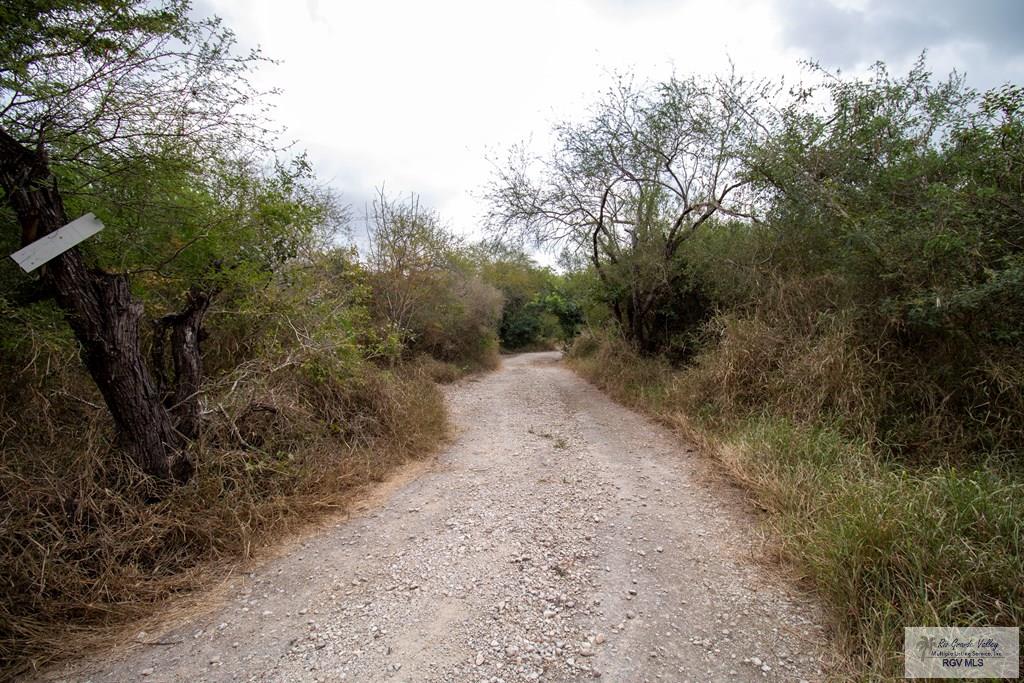 1224 N Illinois Ave, BROWNSVILLE, Texas image 36