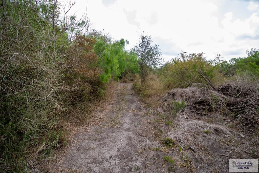 1224 N Illinois Ave, BROWNSVILLE, Texas image 45